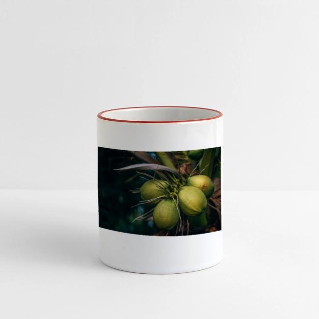 Coconut Tree Fresh Fruit - Enjoy Shopping!