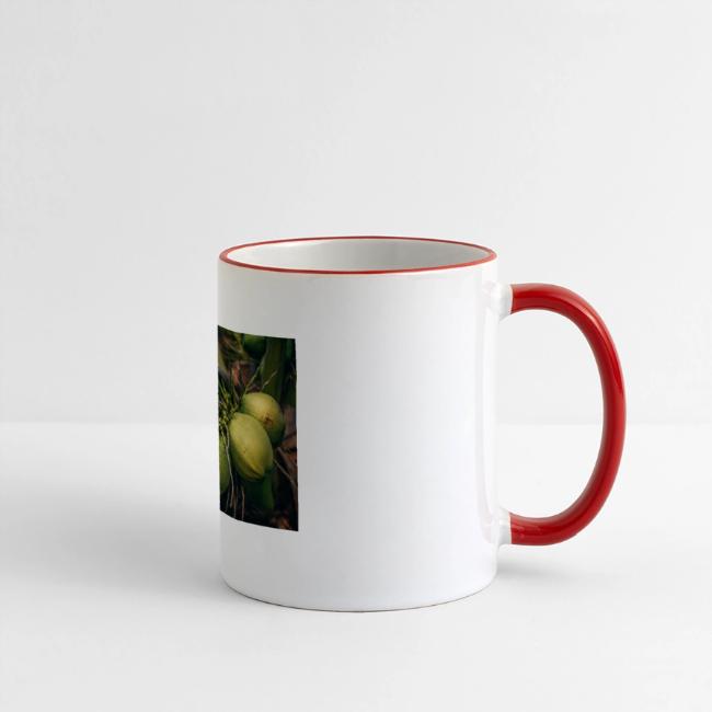 Coconut Tree Fresh Fruit - Enjoy Shopping!