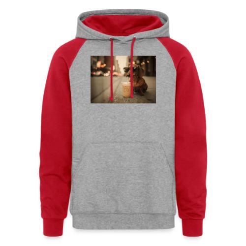 Funny Dachshund Iced Coffee Lover Tee - Unisex Colorblock Hoodie