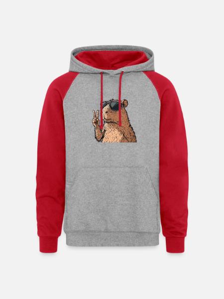 Cool Capybara in Glasses - Unisex Colorblock Hoodie - heather grey/red