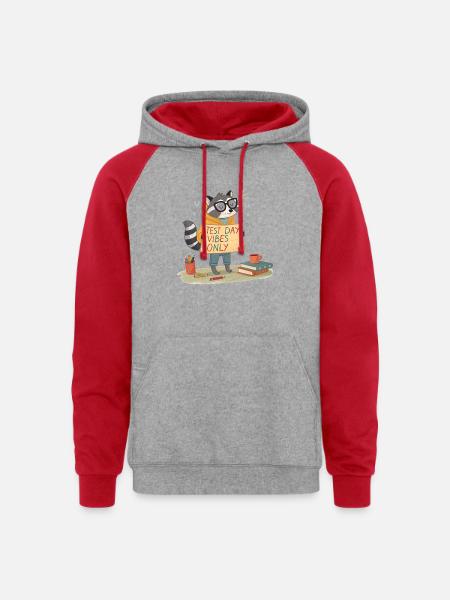 Test day vibes only - Unisex Colorblock Hoodie - heather grey/red