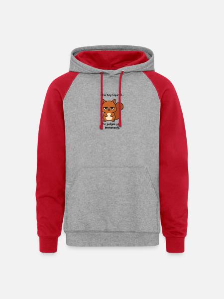 Squirrel of Judgement - Unisex Colorblock Hoodie - heather grey/red