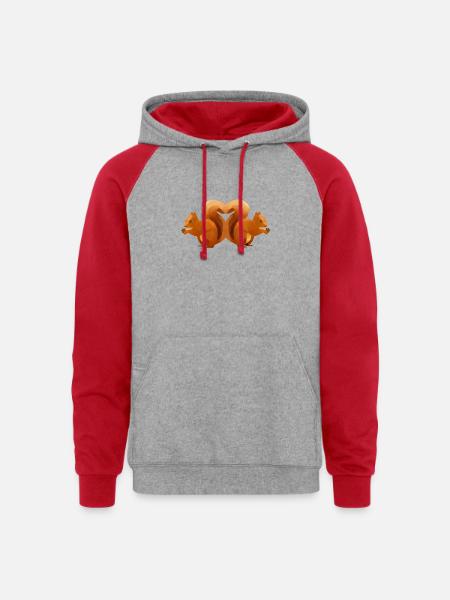Low-Poly Squirrel Heart Duo - Unisex Colorblock Hoodie - heather grey/red