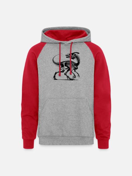 Dinosaur Raptor With Spine Bone - Unisex Colorblock Hoodie - heather grey/red