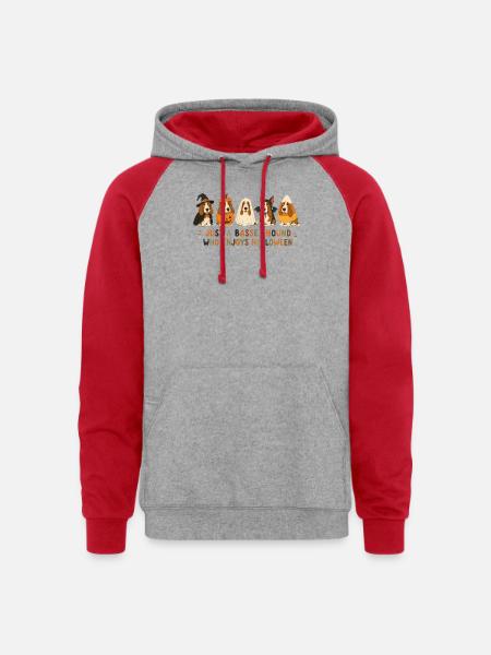 Halloween Basset Hound Crew - Unisex Colorblock Hoodie - heather grey/red