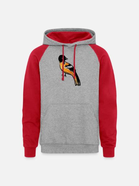 Ember Robin on Midnight - Unisex Colorblock Hoodie - heather grey/red