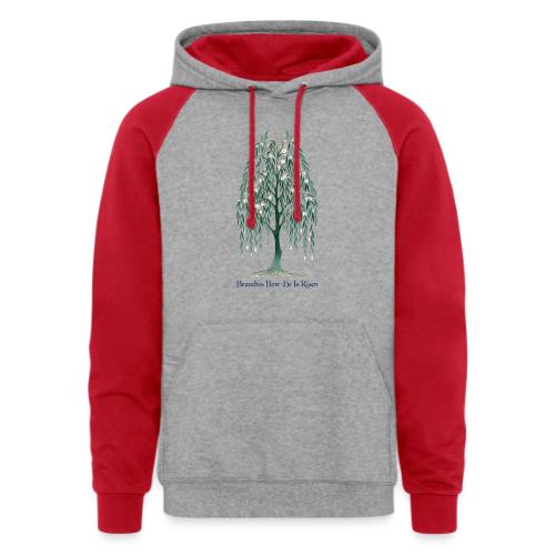 Easter Branches Bow Willow T Shirt, Easter Gift - Unisex Colorblock Hoodie