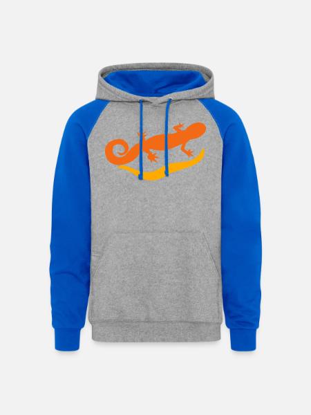 salamander - Unisex Colorblock Hoodie - heather grey/royal