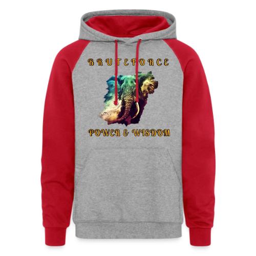 POWER WISDOM - Unisex Colorblock Hoodie