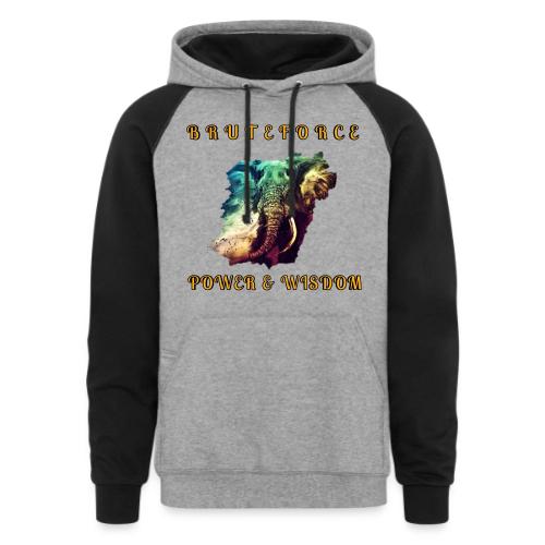 POWER WISDOM - Unisex Colorblock Hoodie