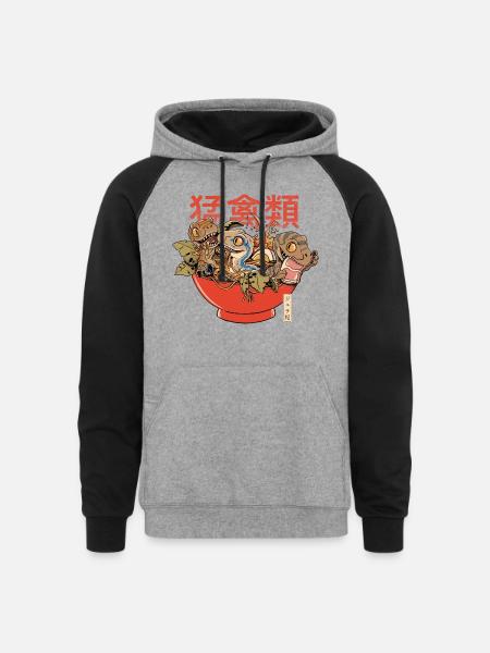 Ramen Raptors - Unisex Colorblock Hoodie - heather gray/black