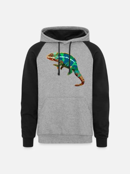 Chameleon - Unisex Colorblock Hoodie - heather gray/black
