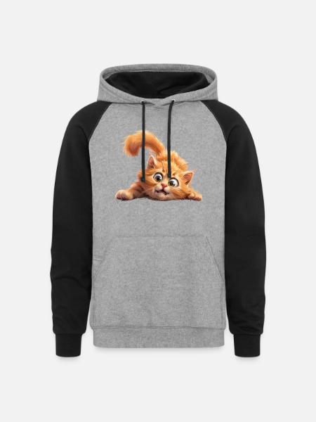 Funny Cat - Unisex Colorblock Hoodie - heather gray/black