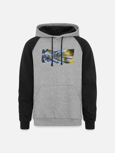 Skyward Pines - Unisex Colorblock Hoodie - heather gray/black