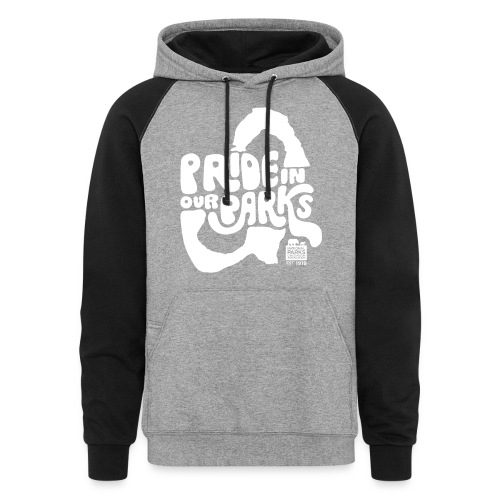 Pride in Our Parks Arches - Unisex Colorblock Hoodie