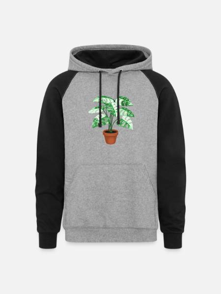 Variegated Monstera - Unisex Colorblock Hoodie - heather gray/black