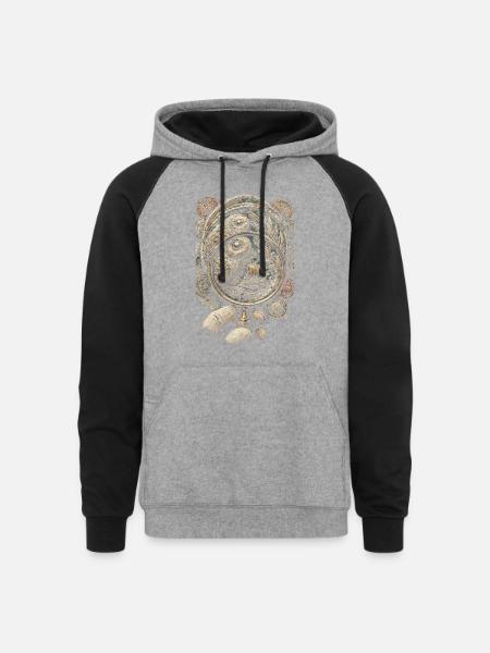 Coin collector Numismatist - Unisex Colorblock Hoodie - heather gray/black