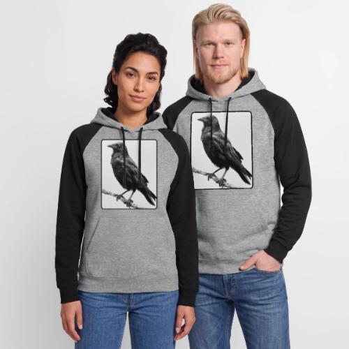 Raven Black and White Art Design - Unisex Colorblock Hoodie