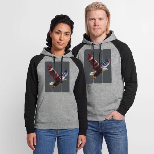 USA: Freedom in Flight - Unisex Colorblock Hoodie