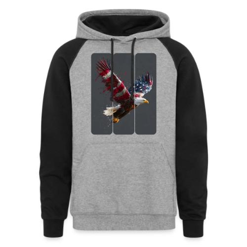 USA: Freedom in Flight - Unisex Colorblock Hoodie