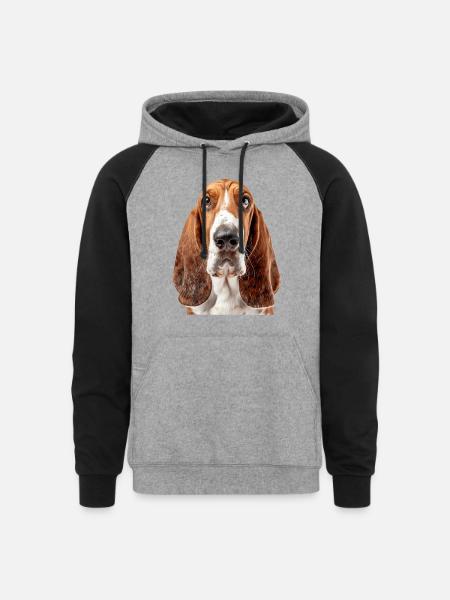 Basset Hound - Unisex Colorblock Hoodie - heather gray/black
