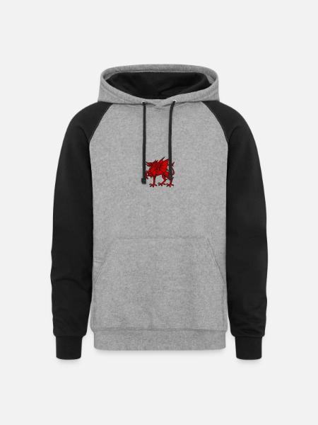 Wales dragon - Unisex Colorblock Hoodie - heather gray/black