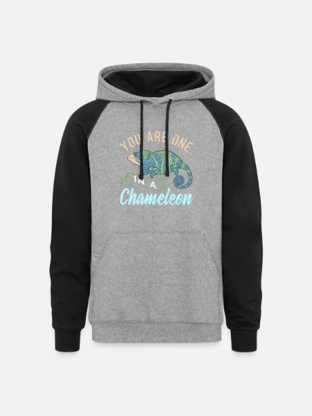 Chameleon - Unisex Colorblock Hoodie - heather gray/black