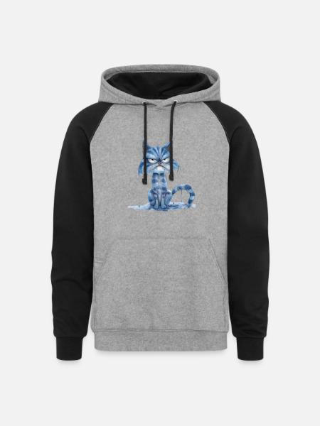Funny Cat - Unisex Colorblock Hoodie - heather gray/black