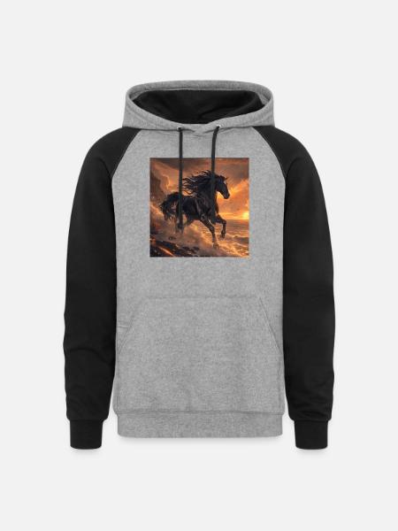 Horse - Unisex Colorblock Hoodie - heather gray/black