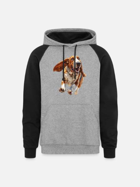 Basset Hound - Unisex Colorblock Hoodie - heather gray/black