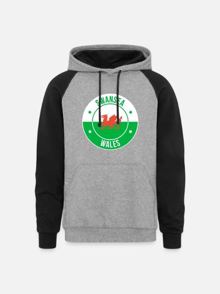 Dragon Crest Swansea Wales - Unisex Colorblock Hoodie - heather gray/black