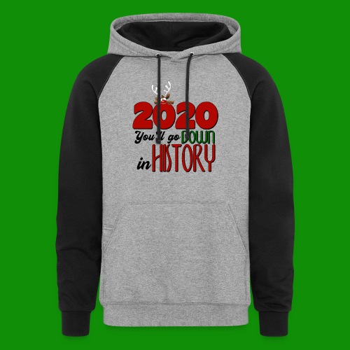 2020 You'll Go Down in History - Unisex Colorblock Hoodie