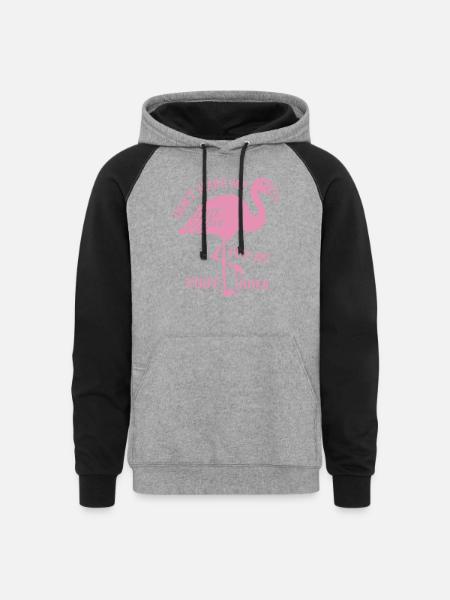 Flamingo Foot Down - Unisex Colorblock Hoodie - heather gray/black