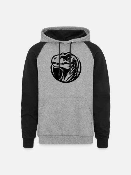 Grinning Raptor Logo Style - Unisex Colorblock Hoodie - heather gray/black