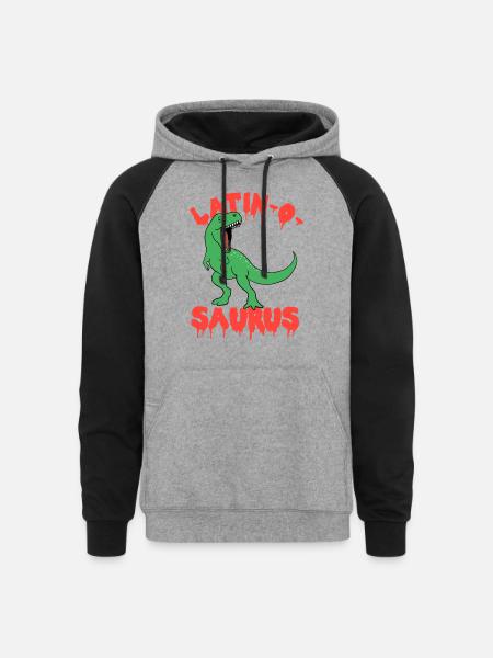 Latin Teacher Dinosaur Latinosaurus - Unisex Colorblock Hoodie - heather gray/black