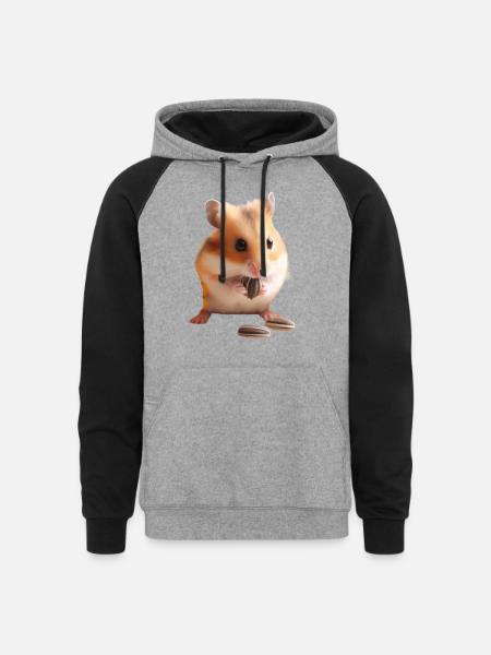 Seeds & Hamsters - Unisex Colorblock Hoodie - heather gray/black