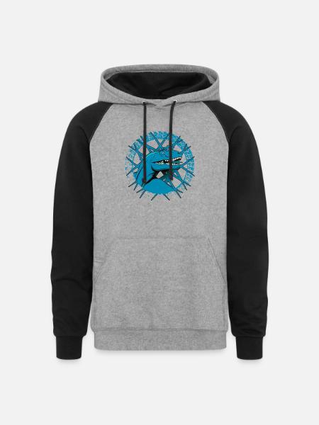 Blue Ford Raptor - Unisex Colorblock Hoodie - heather gray/black