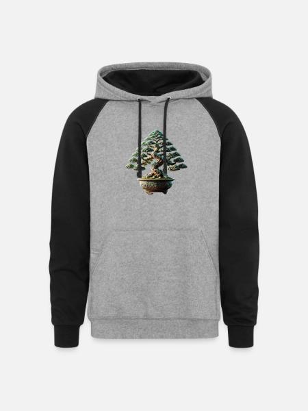 Bonsai - Unisex Colorblock Hoodie - heather gray/black