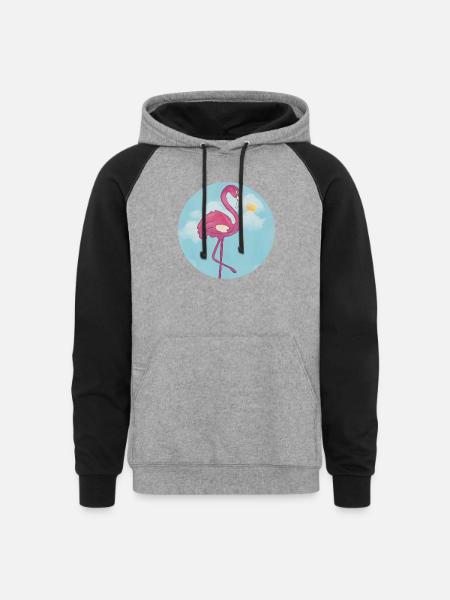 Flamingo In The Blue Sky - Unisex Colorblock Hoodie - heather gray/black