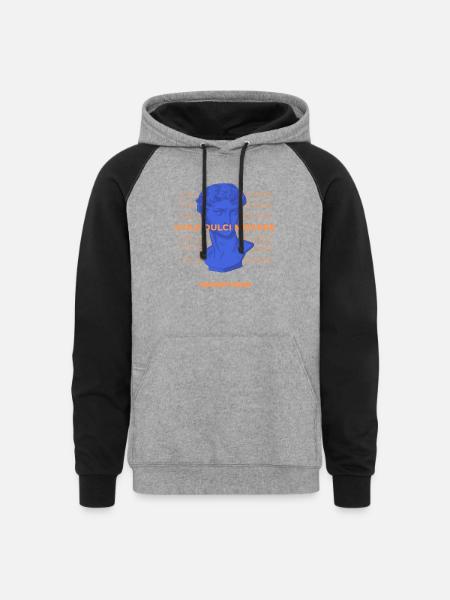 Latin Quote Roman Art - Unisex Colorblock Hoodie - heather gray/black