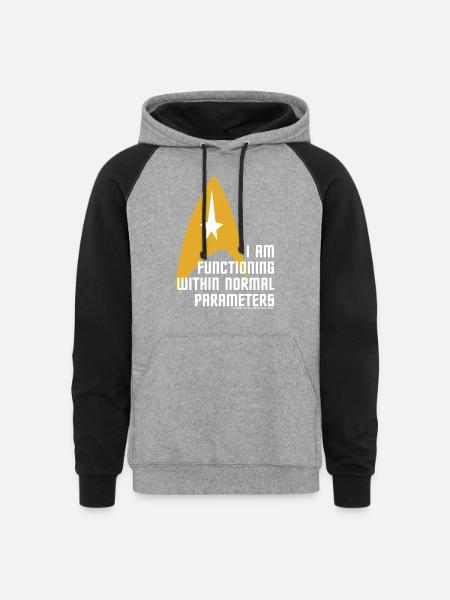 Normal Parameters - Unisex Colorblock Hoodie - heather gray/black