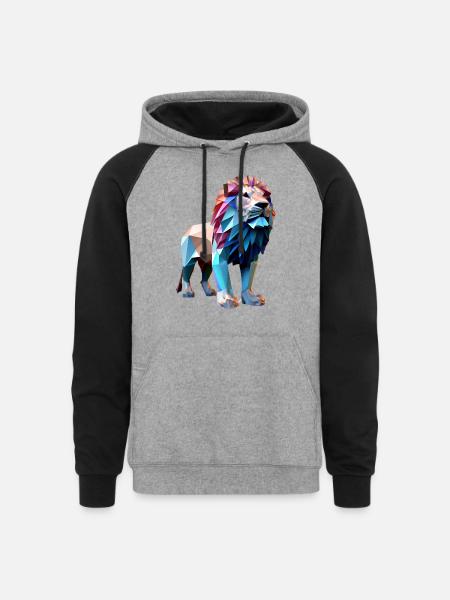 Polygon lions - Unisex Colorblock Hoodie - heather gray/black