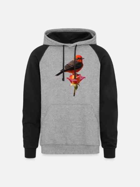 Vermilion Flycatcher - Unisex Colorblock Hoodie - heather gray/black