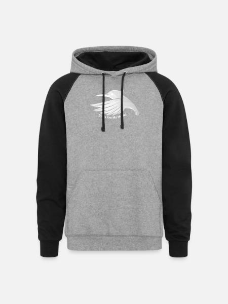 Birds_Are_My_Model - Unisex Colorblock Hoodie - heather gray/black
