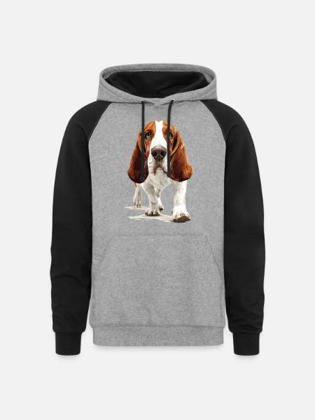 Basset Hound - Unisex Colorblock Hoodie - heather gray/black