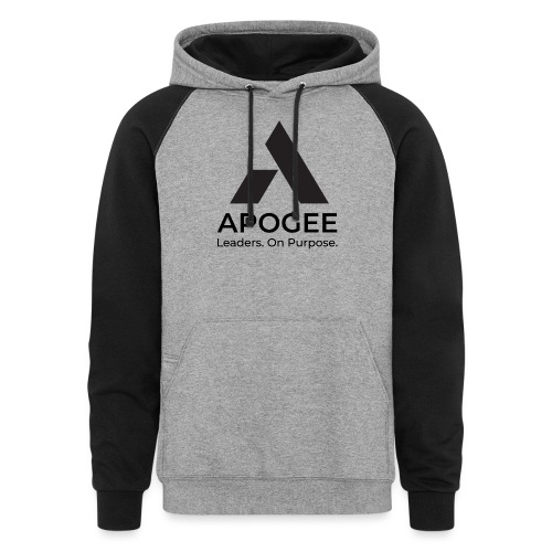 Black Apogee Logo - Unisex Colorblock Hoodie