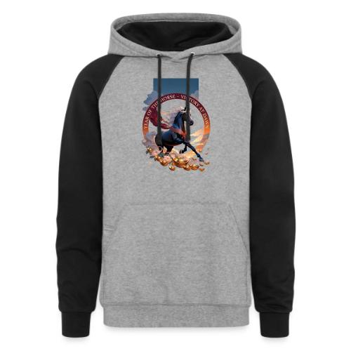 Year of the Horse Dawn T Shirt,Lunar New Year Gift - Unisex Colorblock Hoodie