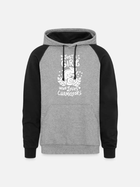 Chameleon - Unisex Colorblock Hoodie - heather gray/black