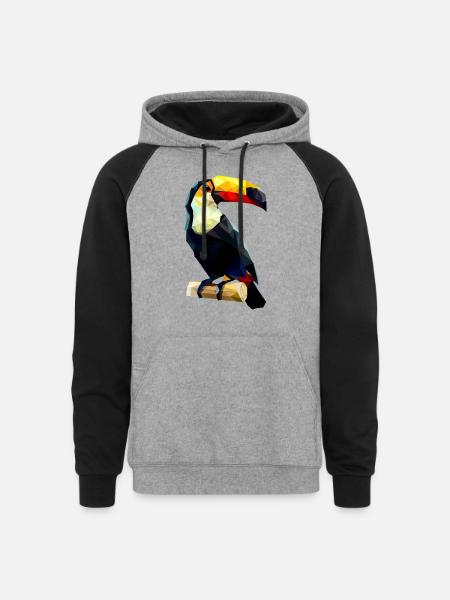 Polygonal Toucan - Unisex Colorblock Hoodie - heather gray/black