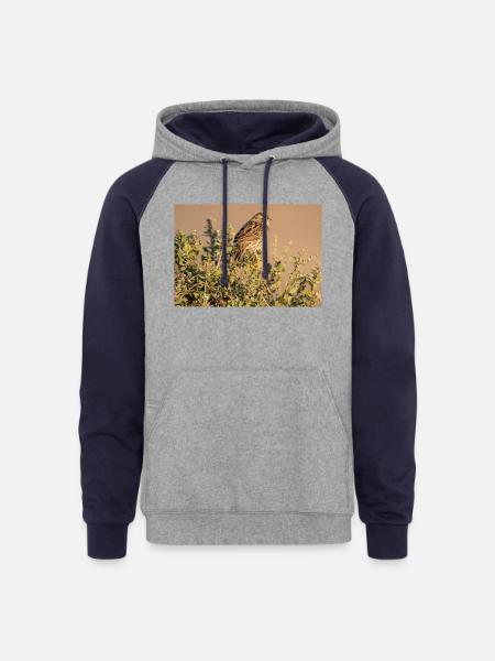 Small bird, big personality - Unisex Colorblock Hoodie - heather gray/navy